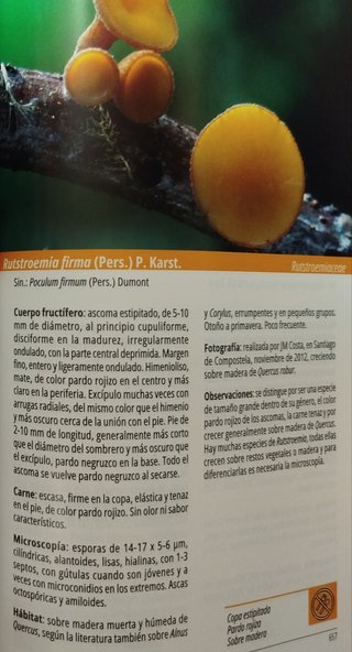 Guía setas. Cogumelos. Galicia. 25€ x libro
