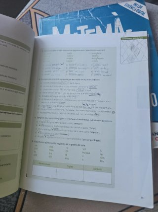 Puntal 4. Llengua catalana i Literatura 4 ESO