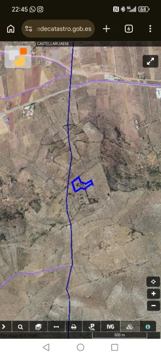 Finca de olivos