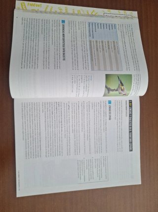 Lengua Castellana y Literatura 4, Secundaria, F...