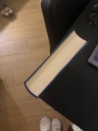 I presidenti del Consiglio di Stato biografie e...