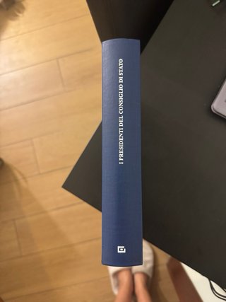 I presidenti del Consiglio di Stato biografie e...