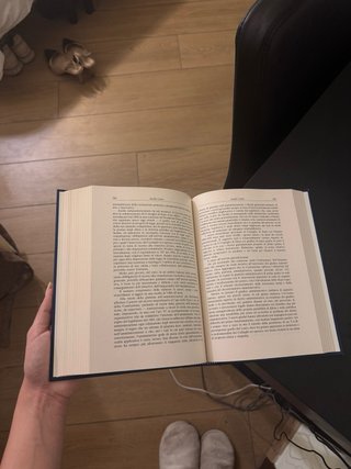 I presidenti del Consiglio di Stato biografie e...