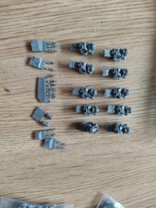 Warhammer Hostiles Cadian Piezas