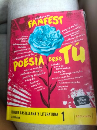 Lengua castellana y literatura 1 Secundaria