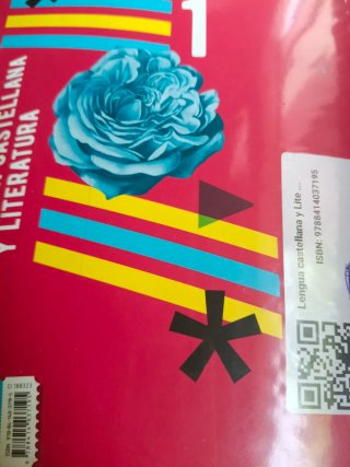 Lengua castellana y literatura 1 Secundaria
