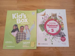 Libros de 5° de primaria