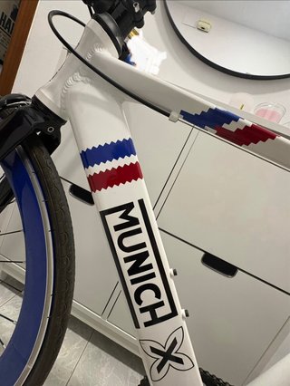 Bicicleta Moma Bikes Fixie Munich Edición Limitada