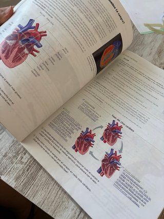 Biología y Geología. 3 Secundaria. Revuela. Com...