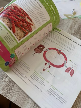 Biología y Geología. 3 Secundaria. Revuela. Com...