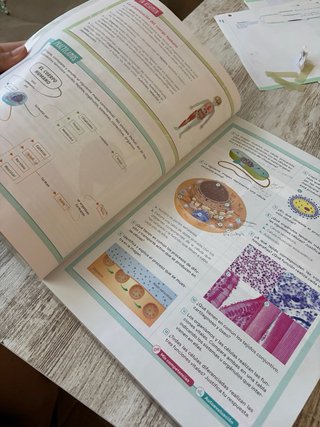 Biología y Geología. 3 Secundaria. Revuela. Com...