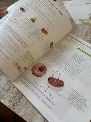 Biología y Geología. 3 Secundaria. Revuela. Com...