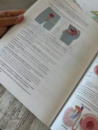 Biología y Geología. 3 Secundaria. Revuela. Com...