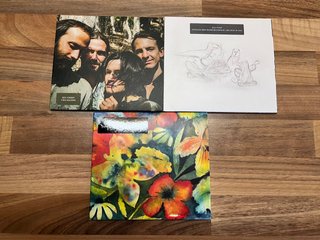 Lote Big Thief (2) + Adrianne Lenker