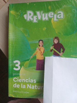 Música y Danza 3 Primaria : Revuela