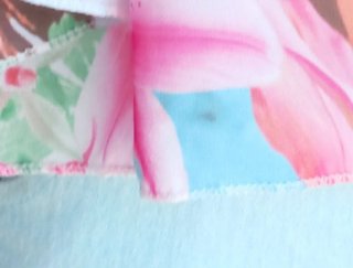 Blusa Crop Floral