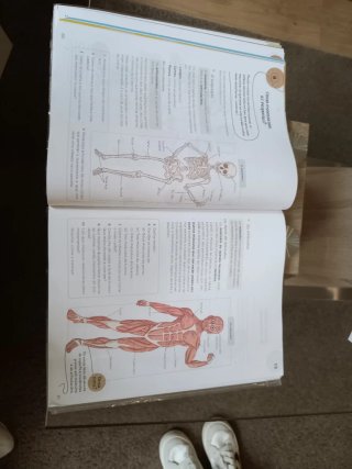 Libro Ciencias da Natureza 4º EP Operación Mundo