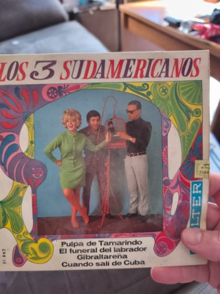Vendo mini vinilos son 20