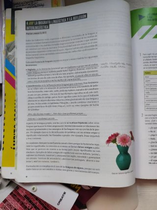 Lengua castellana y literatura 4 Secundaria