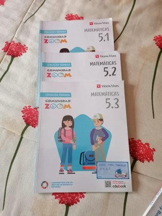 Matemáticas, 5 Educación Primaria, Comunidad Zoom