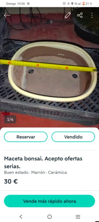 Macetas bonsai cerámica