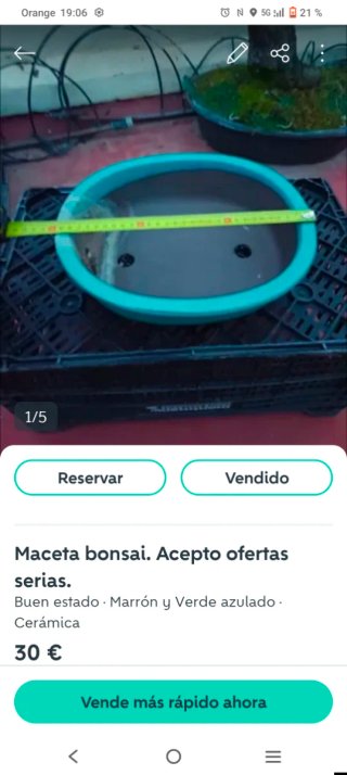 Macetas bonsai cerámica