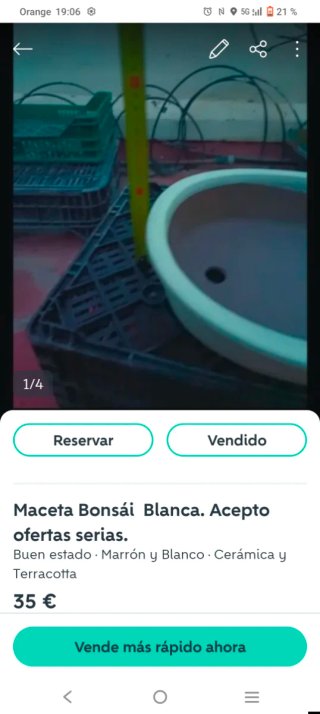 Macetas bonsai cerámica