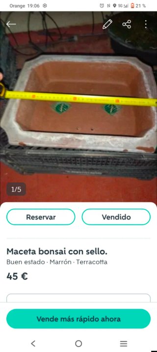 Macetas bonsai cerámica
