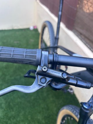 Orbea Alma