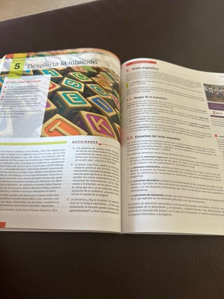 Libro castellano y literatura 1 bachillerato