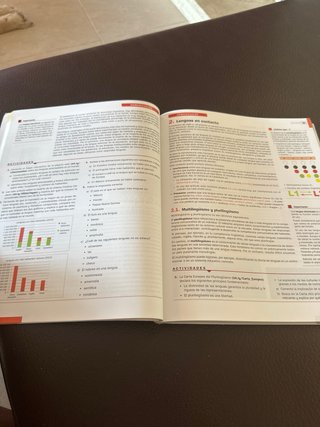 Libro castellano y literatura 1 bachillerato