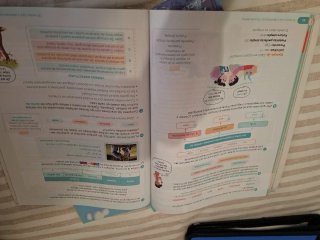 Lengua Castellana y Literatura . 6 Primaria. Tr...
