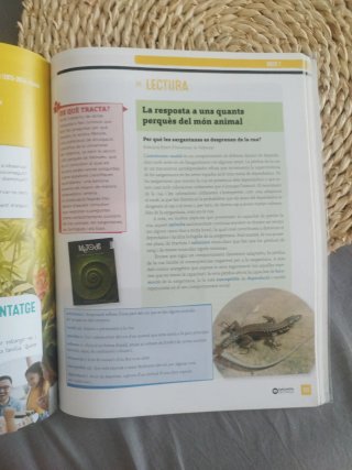 Llengua Catalana, 4 ESO, Programa Alba de Vic, ...