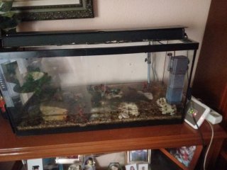 Acuario grande 80 l con accesorios