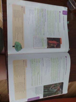 Lengua castellana y literatura, 3 ESO serie Lib...