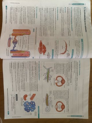 BIOLOGIA GEOLOGIA Y CIENCIAS AMBIENTALES 1 (CER)