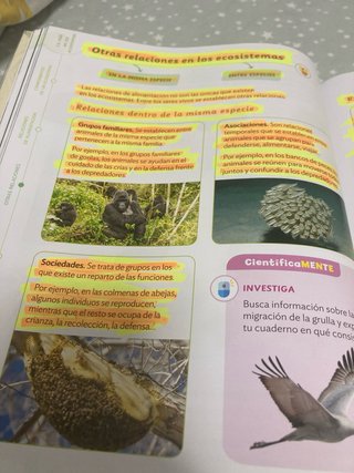 Ciencias de la Naturaleza 3 Primaria : Comunida...