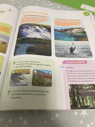 Ciencias de la Naturaleza 3 Primaria : Comunida...
