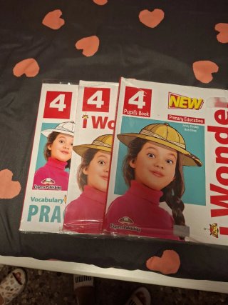 NEW I WONDER LEVEL 4 PUPIL'S BOOK