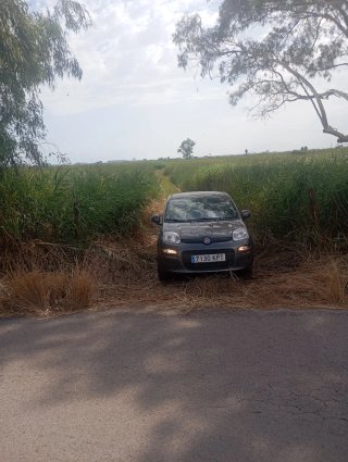 Terreno en la marjal