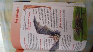 Gran libro de el porqué de las cosas