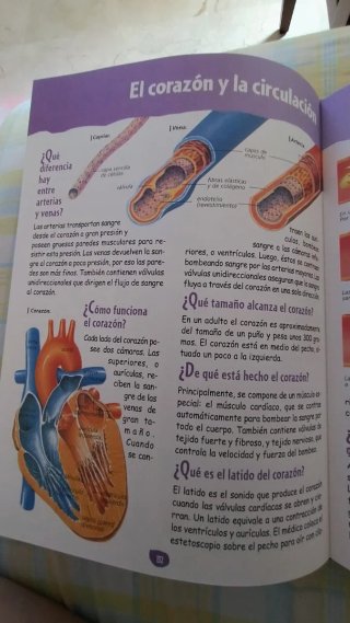 Gran libro de el porqué de las cosas