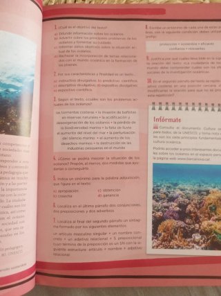 Lengua castellana, 4 ESO, Programa Carmen de Bu...