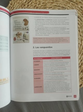 Lengua castellana, 4 ESO, Programa Carmen de Bu...