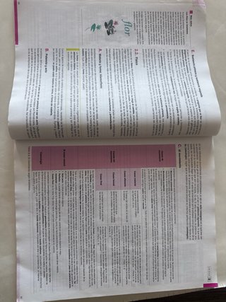 Historia de la filosofía, 2 Bachillerato