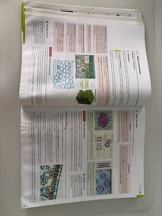 Biología, Geología y Ciencias Ambientales 1o Ba...