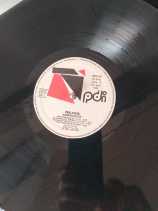 Vinilo Pegasus - Arisa Escote Kitflus Max