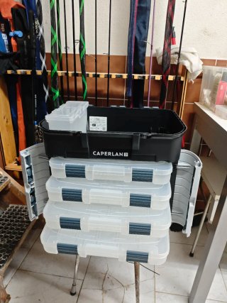 Caja de pesca organizadora