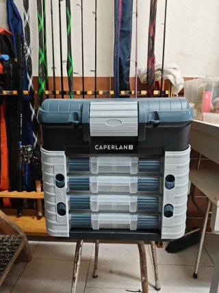 Caja de pesca organizadora