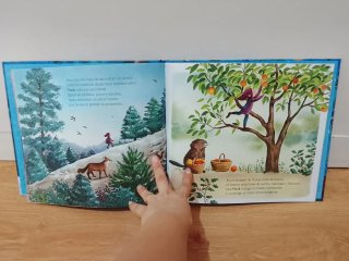 Libro infantil  La Gran Fiesta Del Invierno